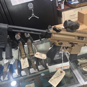 Sig Sauer Copperhead, Brace, Romeo5, Surefire Light