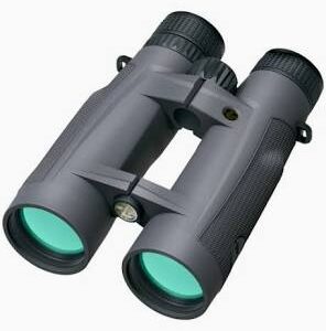 Leupold Santiam BX-5 SANTIAM HD 15X56