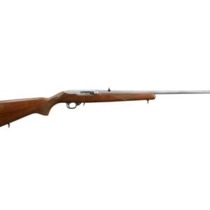 Ruger 10/22 22LR ss/wd 22"